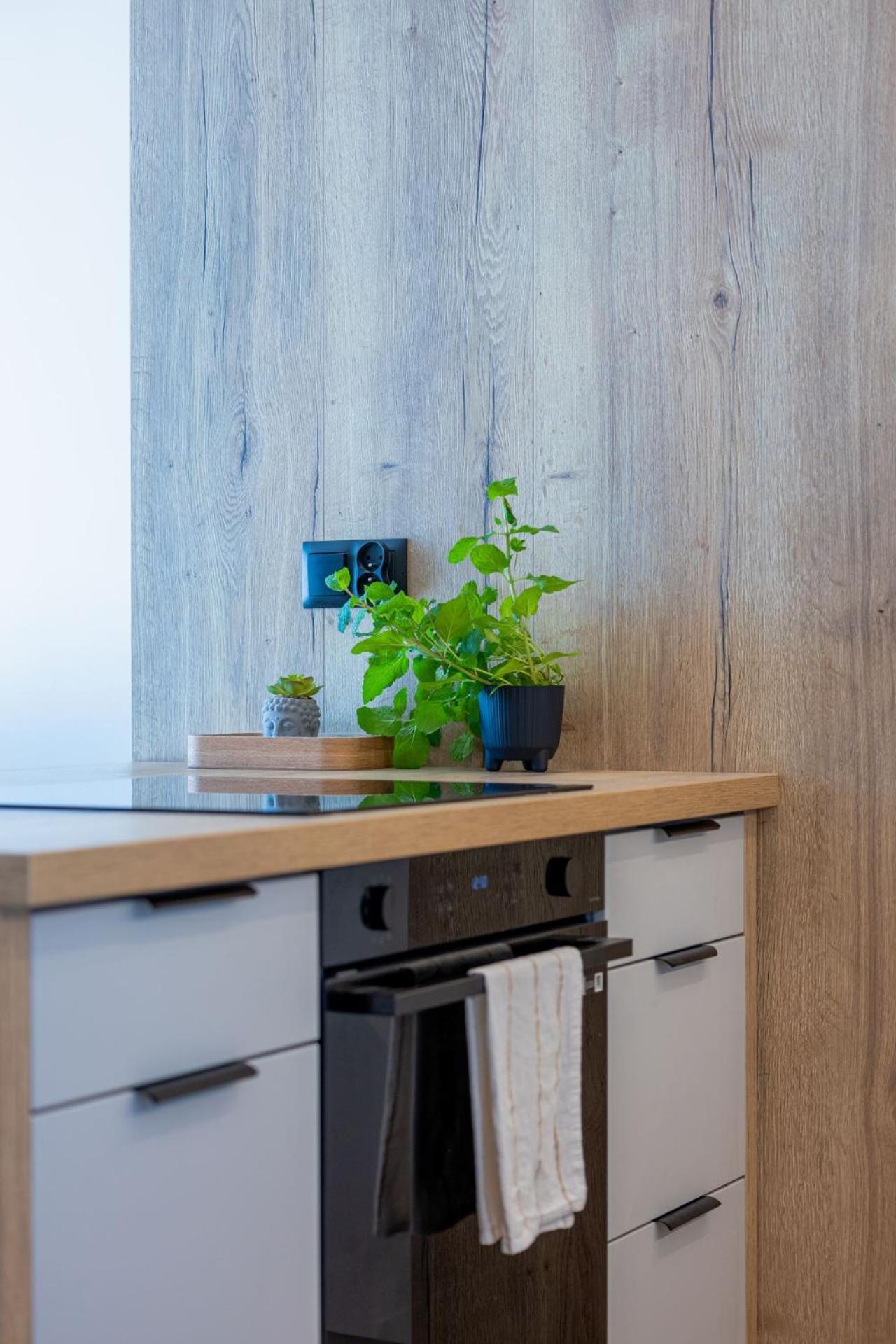 Vip Apartament Kopisto Centrum Rzeszów Exteriör bild